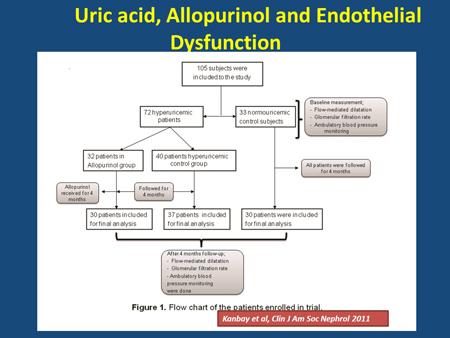 What about the effect of lowering uric acid levels on endothelial function? In this study, we included 72 hyperuricemic and 33 non-uricemic patients.