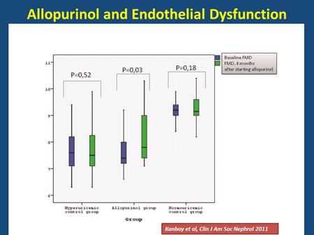 baseline and 4 months after follow-up. slide 60 We found that allopurinol improves endothelial function significantly.