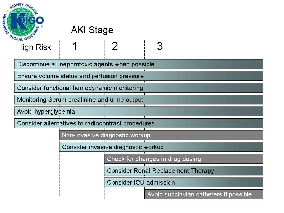 Stage-Based Management Stage-based management of AKI: Shading of boxes indicates priority of action solid shading indicates actions that are equally