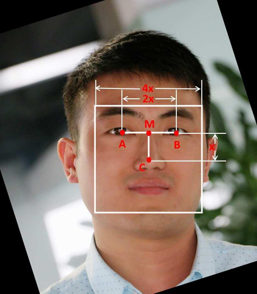 In addition, to further reduce the background influence, we manually segmented the facial images based on the contour of the face with Adobe Photoshop. Fig.