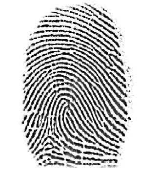Fingerprint Feature Minutia-based fingerprint representation is widely used in fingerprint image matching. In this work, we also used a minutia-based representation for our fingerprint images.