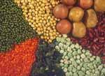 ccurrence of Mycotoxins in Foods