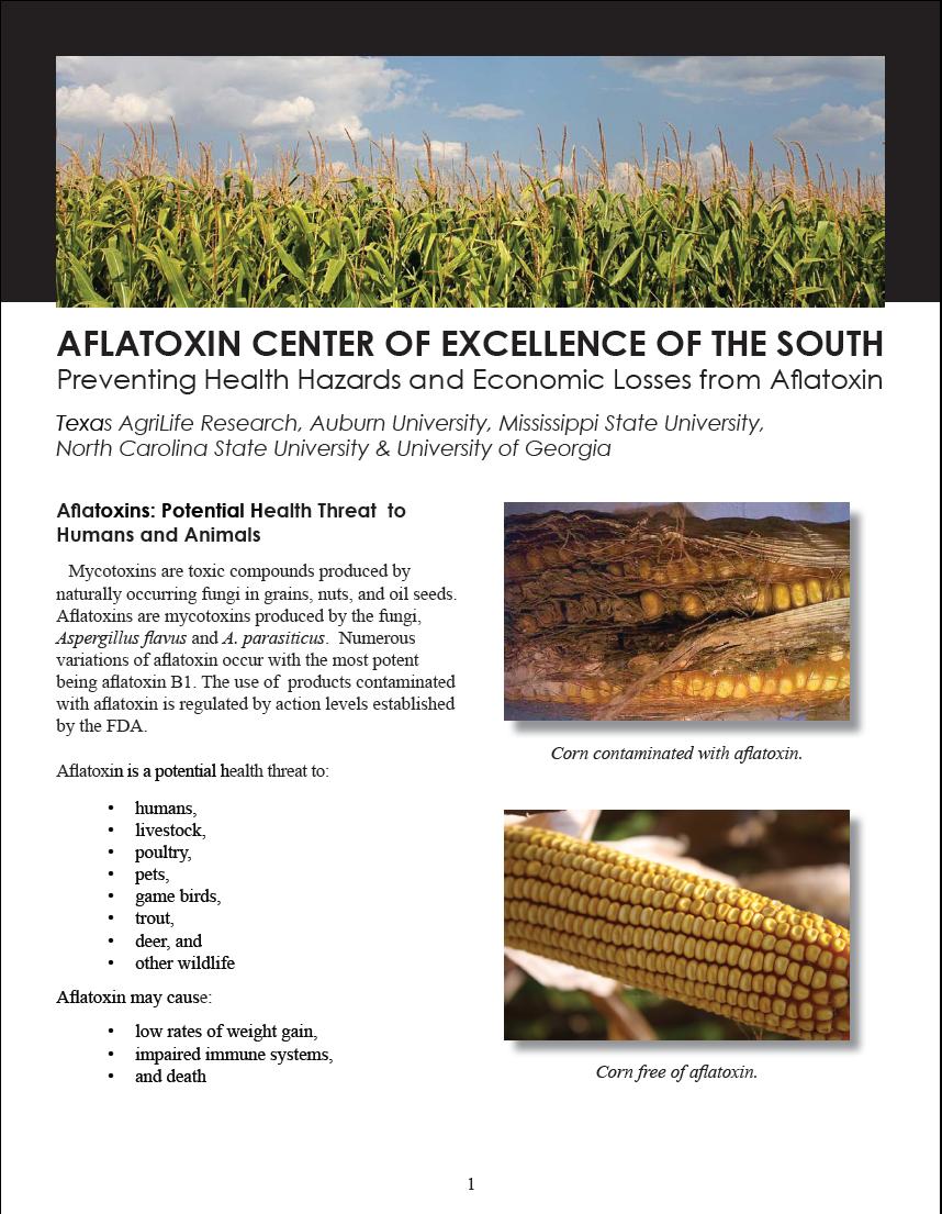 Aflatoxin Center of Excellence of the South Creating Linkages between: -States (Alabama, Georgia, Mississippi, North Carolina, Louisiana, Texas) -