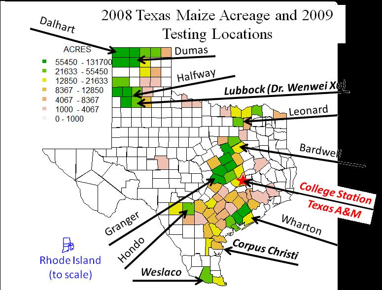 Pre-Harvest Aflatoxin Contamination Texas 2008 corn farm gate value = $1billion (13 th in Country) $14 million loss liability from mycotoxins in 2008 Most elite US germplasm is highly susceptible in