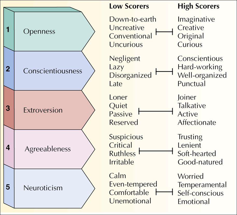 experiences, creative, curious Conscientiousness- efficient, organized, resourceful Extraversion- active,