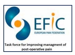 Roles of the EFIC Task Force 1. Deciding on a general strategy and aims of the task force. 2. Overseeing the Perioperative Pain Improvement program. 3. Developing a clinical peer review protocol. 4.