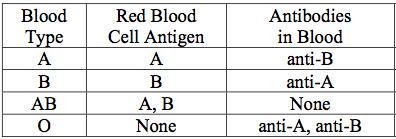 BLOOD TYPES plasma may contain proteins called ANTIBODIES, & are referred to as "ANTI-A" and/or "ANTI-B" e.g.
