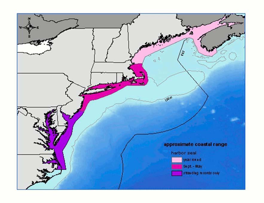 Figure 1. Coastal range of western Atlantic harbor seal.