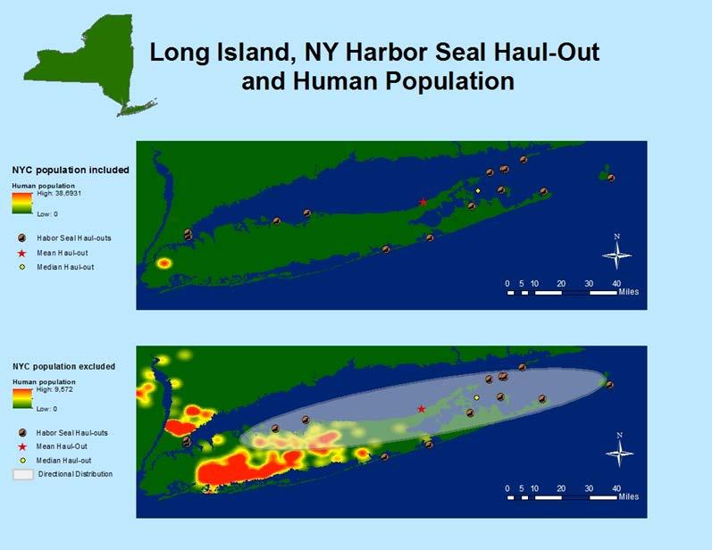 Figure 20. Long Island, NY harbor seal haul-out locations and human population.