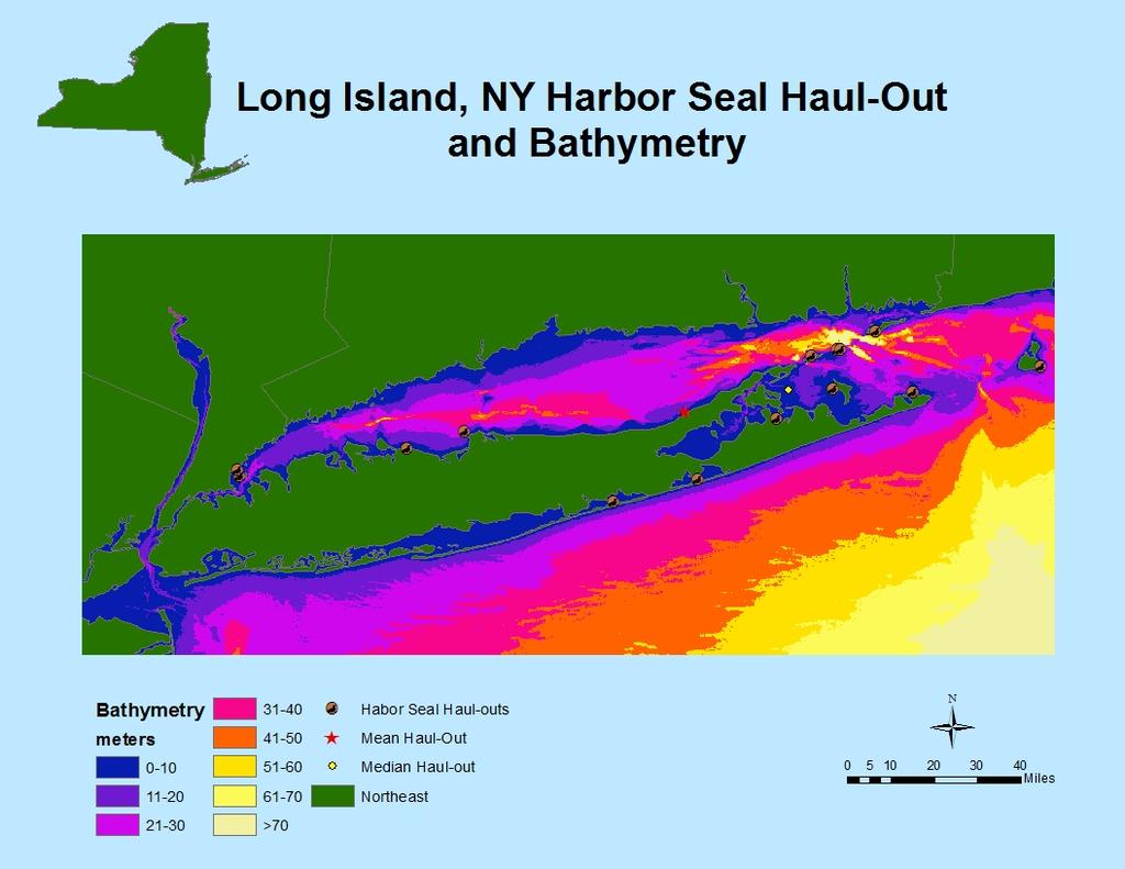 Figure 21: Bathymetry and Harbor Seal Haul.