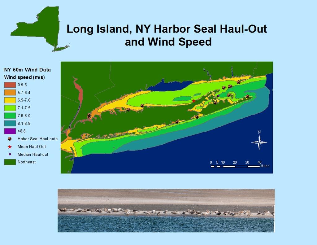Figure 22. Wind Speed at 50m and Haul-out Site Locations.