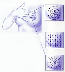 Choose 1 of these methods Circle. Begin at the top of your breast and move your fingers slowly around the outside in a large circle.