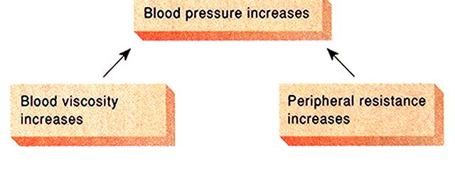 (PR) Heart action, blood volume, resistance to flow, and