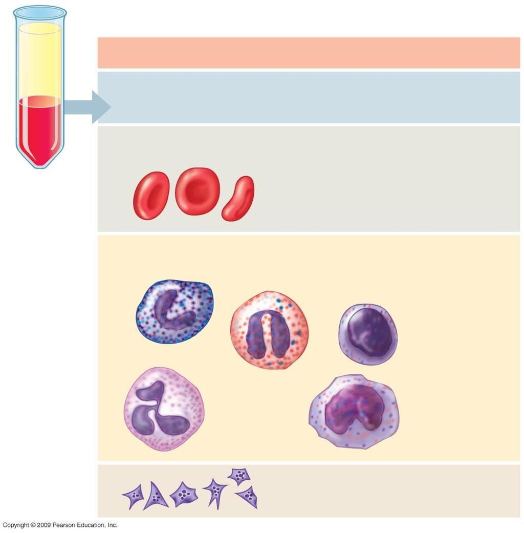 Cellular elements (45%) Cell type Number per µl (mm 3 ) of blood Functions Centrifuged blood sample Erythrocytes (red blood cells) 5 6 million Transport of oxygen (and