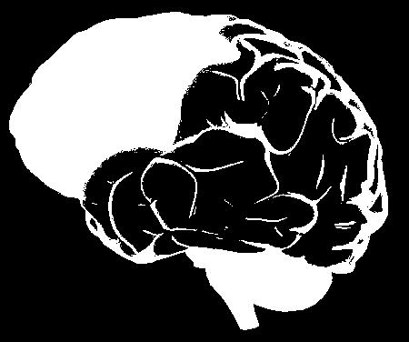 Frontal Lobe The frontal lobe is the area of the brain responsible for higher cognitive functions.