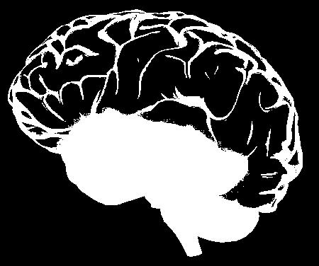 Temporal Lobe The temporal lobe plays a role in emotions, and is also responsible for smelling, tasting, perception,