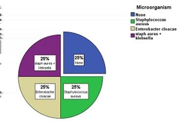 Hao/Zhang/Song/Ma/Wang/Cheng/Li/Qin Figure 7. Pie chart showing microorganism profile in cultured joint fluid.