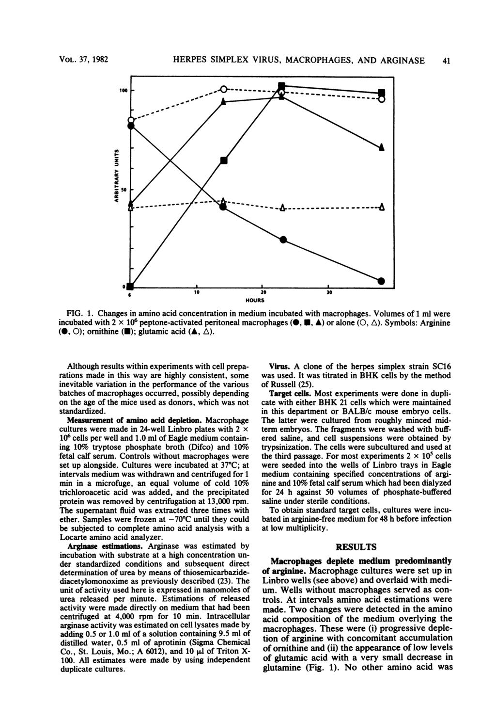 VOL. 37, 1982 HERPES SIMPLEX VIRUS, MACROPHAGES, AND ARGINASE 41 'A z )I- -oso < 10 20 30 HOURS FIG. 1. Changes in amino acid concentration in medium incubated with macrophages.
