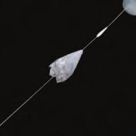 Gore Medical Products Division 2007 GORE HELEX Septal Occluder 2001 GORE VIABAHN Endoprosthesis 2011 GORE Hybrid Vascular Graft 2000 2005 2009 2011 1998 GORE TAG Thoracic Endoprosthesis 2009 GORE