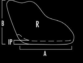 A small inferior ridge along the ramus allows the