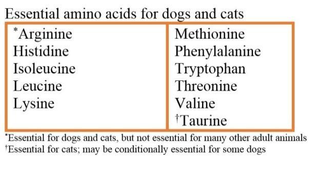 Amino Acids Vitamins Blending vs