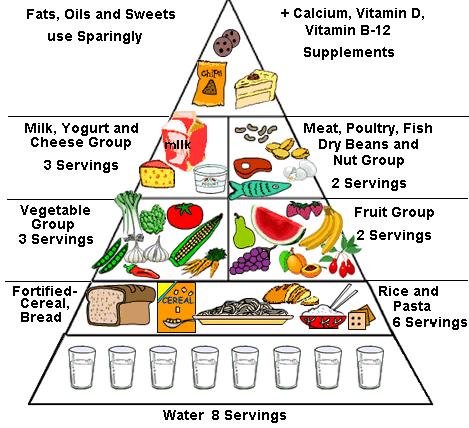 Biology Form 4 Page 15 Ms. R. Buttigieg 1.6 A balanced diet in humans (see GSCE Biology pg.
