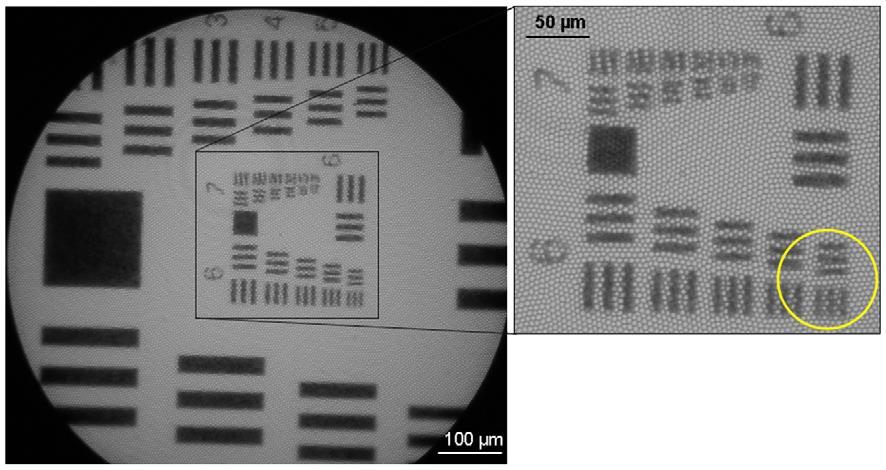 51 (B)) [32], with both images acquired at the same sample site, under identical illumination conditions. The power measured from the fiber bundle was 0.5 mw for each image.
