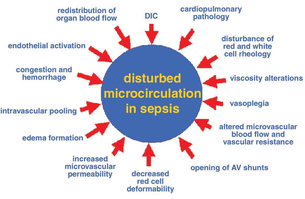 Micro-vascular Dysfunction in Sepsis