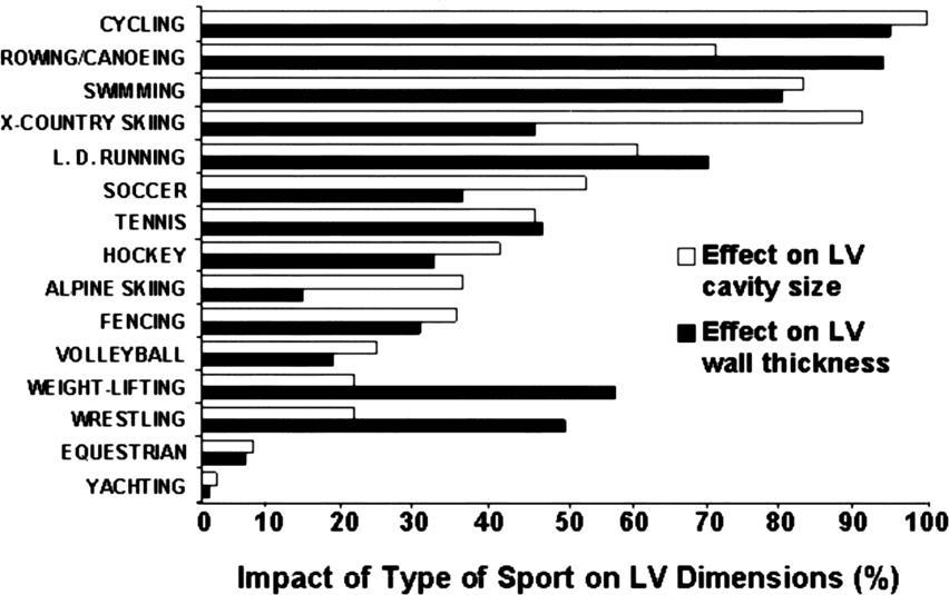 Effect of specific sports training on LV cavity dimension or wall thickness in elite athletes, representing 27 different sporting disciplines.