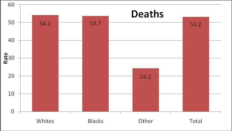 Injury rates (per 100,000 Iwans) by race, 2002-2006 The crude injury death rate fr blacks in Iwa (54) is cmparable t that f whites (54).