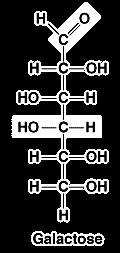hydrate = + = C + H2O Monosaccharides are made from multiples of CH2O where the number of carbons range