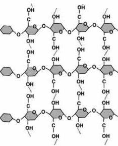 are all made from chains of glucose monomers Polysaccharide Function Structure Organism Example / location Some branching Starch A lot of