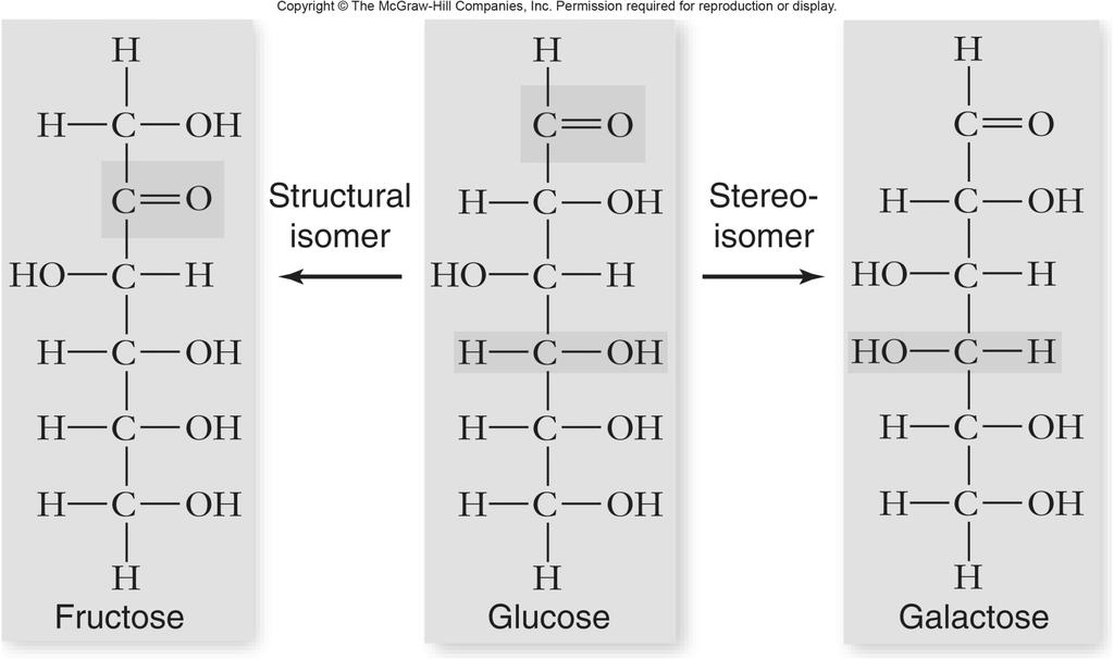 glucose Galactose is a stereoisomer of glucose Enzymes that act on