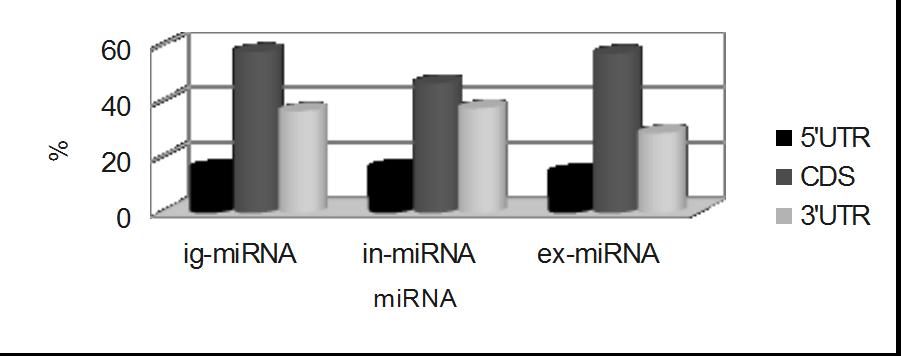 A B Note: These binding sites have ratio ΔG/ΔG m equal 70 99%. A Shares of mirnas binding sites with different parts of 51 mrnas.