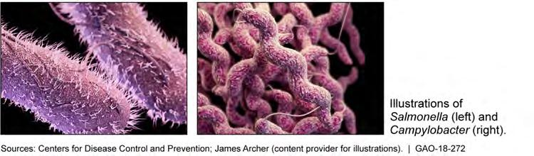 In 2014, GAO identified challenges USDA faced in reducing pathogens in poultry products, including standards that were outdated or nonexistent and limited control over factors that affect pathogen