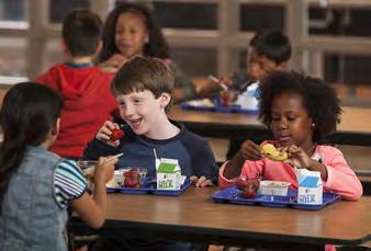 Appendix I: Salmonella Testing for Beef Purchased for the National School Lunch Program National School Lunch Program According to USDA, the National School Lunch Program is a federally assisted meal