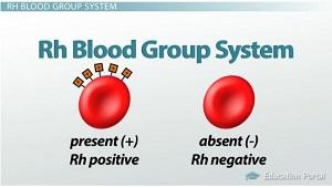 6. Rh Positive (Rh + ) indicates: 6a. The absence of this antigen is indicated as: 6b. When the complete blood type is recorded: For example: READ: -Hemolytic Disease of the Newborn, Martini pg.