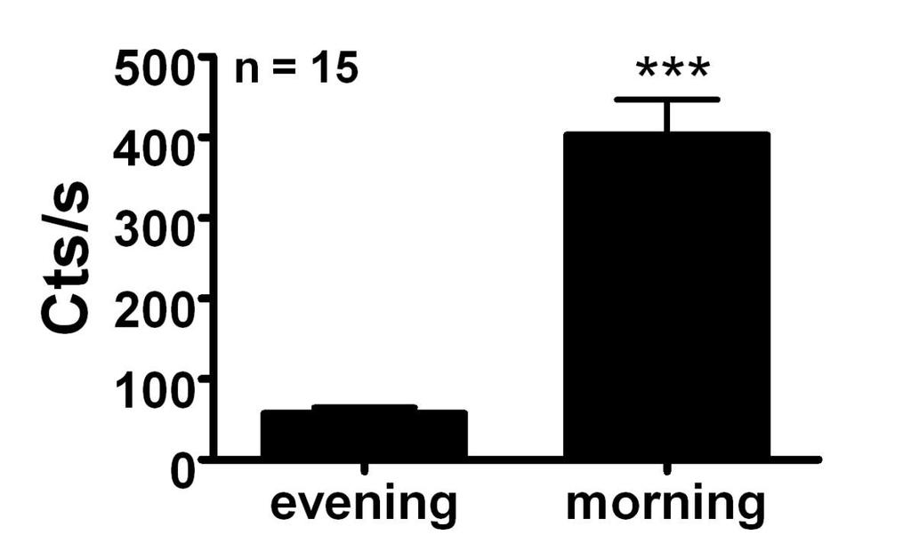 00 am) EVIDENCE: The ingestion of estrogen-free food results in a