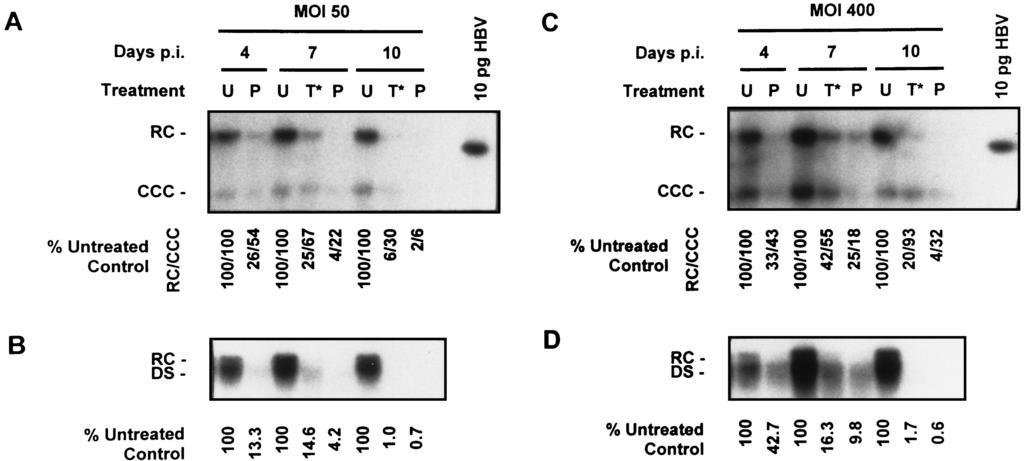 VOL. 43, 1999 3TC AND HBV RECOMBINANT BACULOVIRUS-HEPG2 SYSTEM 2023 FIG. 9. Effect of 0.
