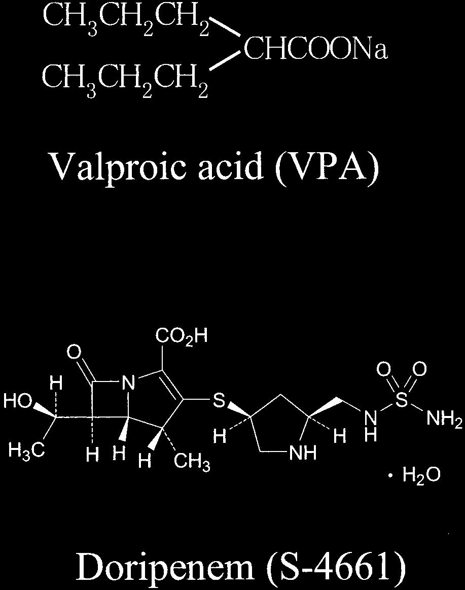 1384 NAKAJIMA ET AL. FIG. 1. Chemical structures of S-4661 and VPA. Experiments in Monkeys. Plasma levels of VPA after oral administration of VPA with carbapenems.