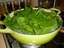 Coli O157:H7 spinach 204 cases, 103 hospitalizations, 31 HUS, 3 deaths 26 states Since 1995,