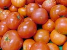 Salmonella on restaurant tomatoes Sept. 14 Oct.