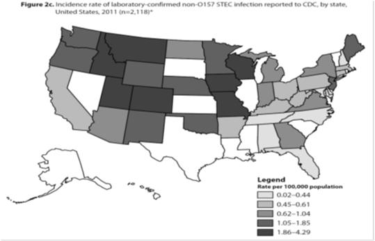 National Shiga toxin-producing Escherichia coli (STEC) Surveillance Annual Report, 2011. Atlanta, Georgia: US Department of Health and Human Services, CDC, 2013.