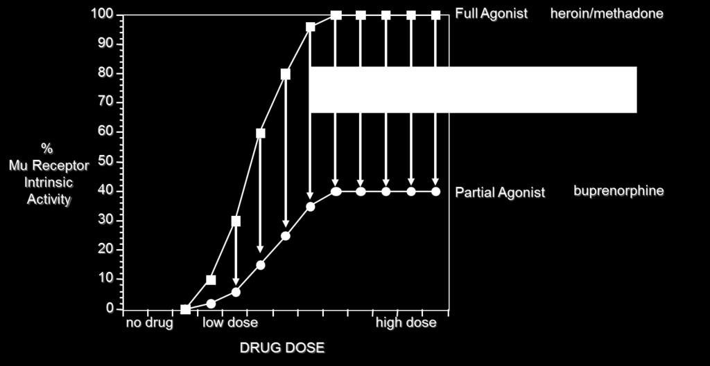 Pharmacology of Full vs.