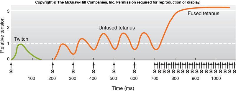 Unfused tetanus: partial dissipation of elastic tension between subsequent stimuli.