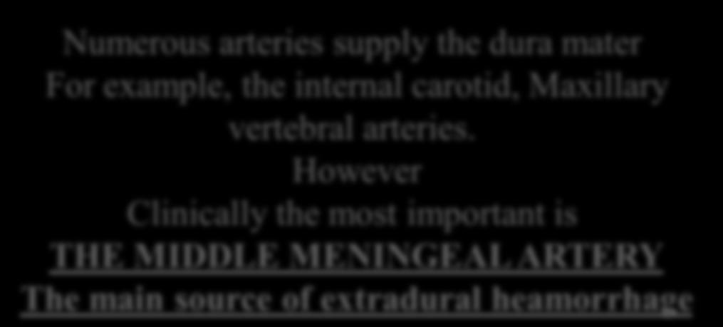 Dural Arterial Supply Numerous arteries supply the dura mater For example, the internal