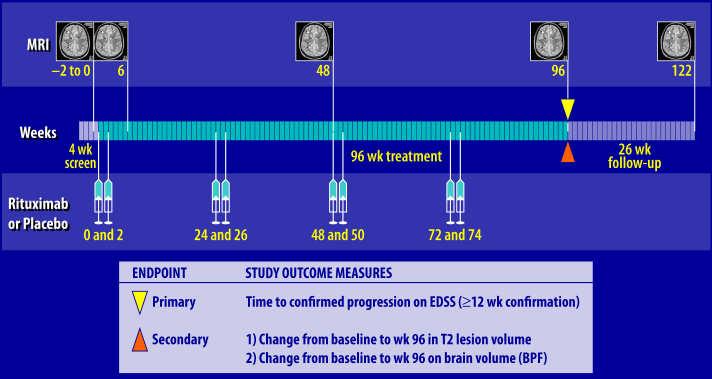 Phase I RRMS Study 2 Cycles of MRI: Study Drug: Week: -2 to Screen (4 weeks) Endpoint Primary Secondary 2 4 8 12 24 26 36 48 6 72 Treatment period (72 wks) Study Outcome Measures Safety through Wk 72