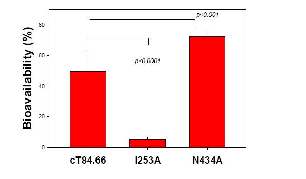 FcRn appears to impact SC bioavailability in mouse 13 I253A.
