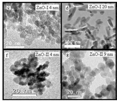 Morphology - ZP TEM confirmed crystallite size