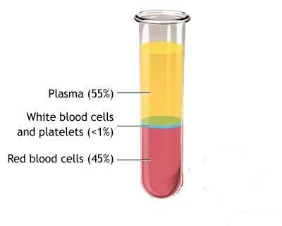 Plasma Plasma is the liquid Parton the blood.